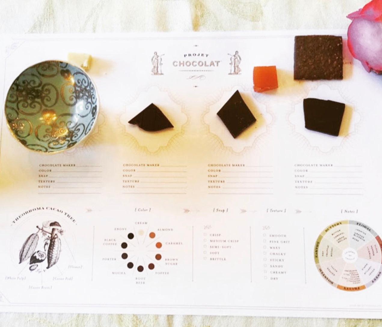 Elegant Chocolate Tasting Placemats - Barometer Chocolate
